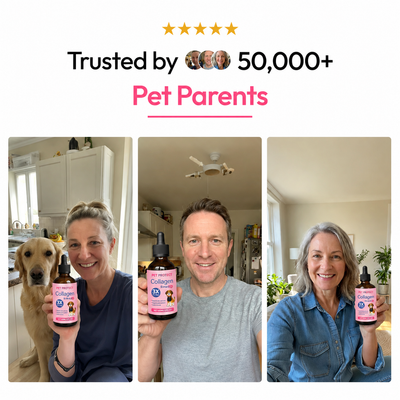 Pet Protect Premium Liquid Collagen