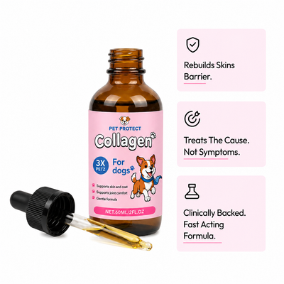 Pet Protect Premium Liquid Collagen