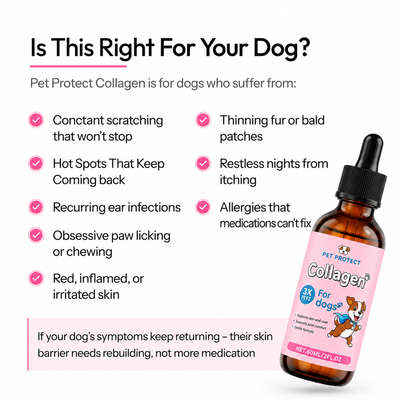Pet Protect Premium Liquid Collagen