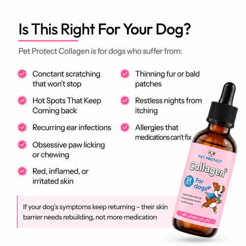 Pet Protect Premium Liquid Collagen