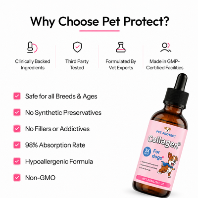 Pet Protect Premium Liquid Collagen