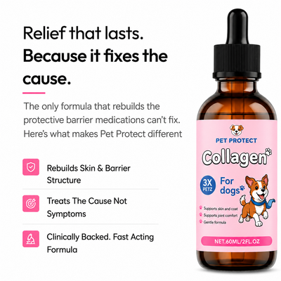 Pet Protect Premium Liquid Collagen