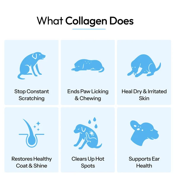 Pet Protect Premium Liquid Collagen
